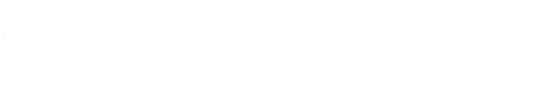 1stnavigatortoursandcharters